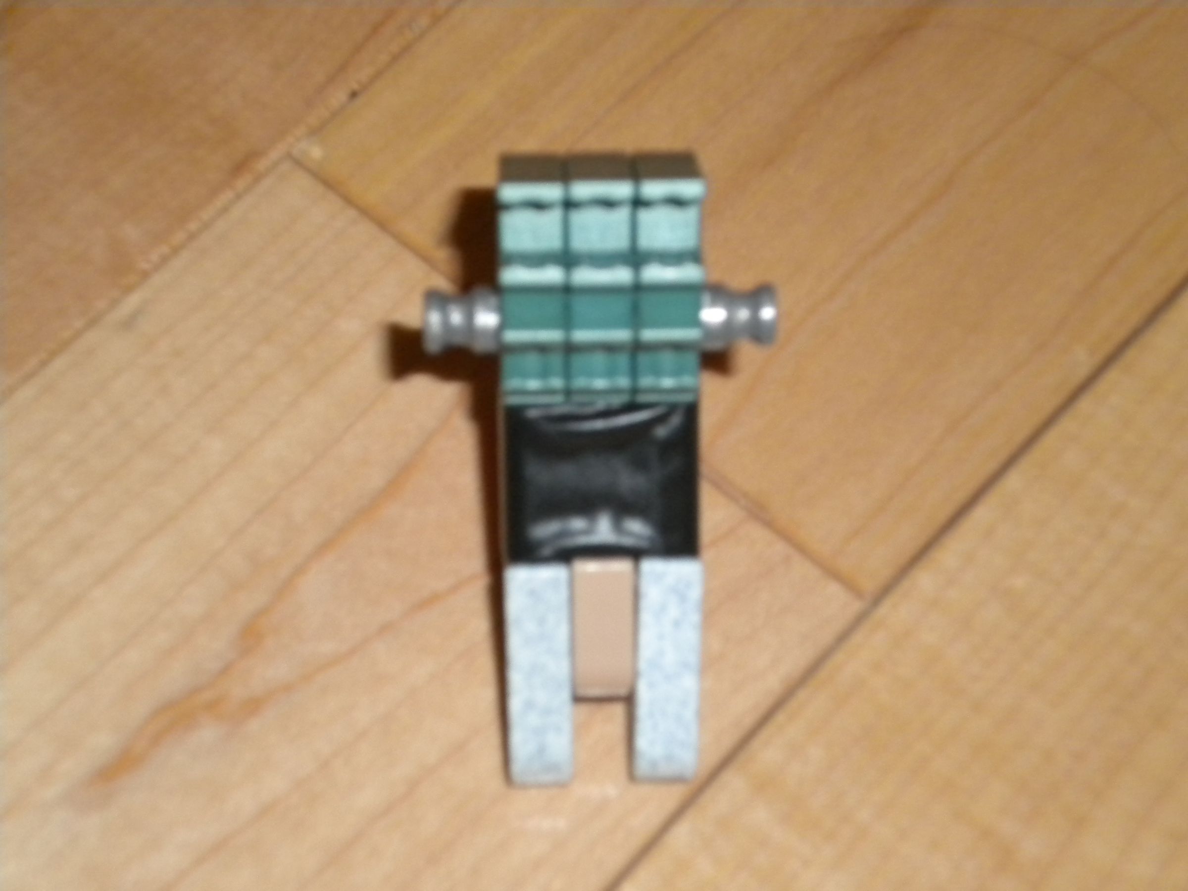 DSCN0993.JPG