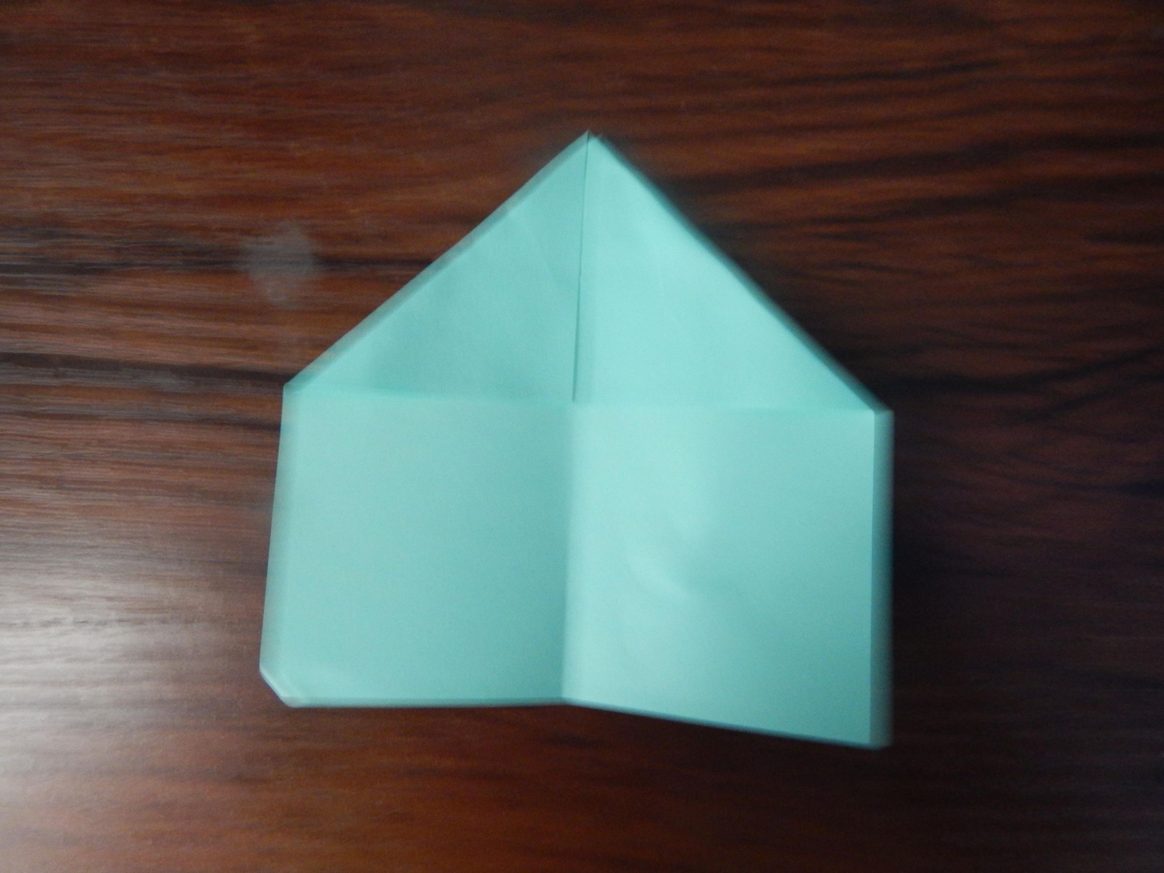 DSCN1235.JPG