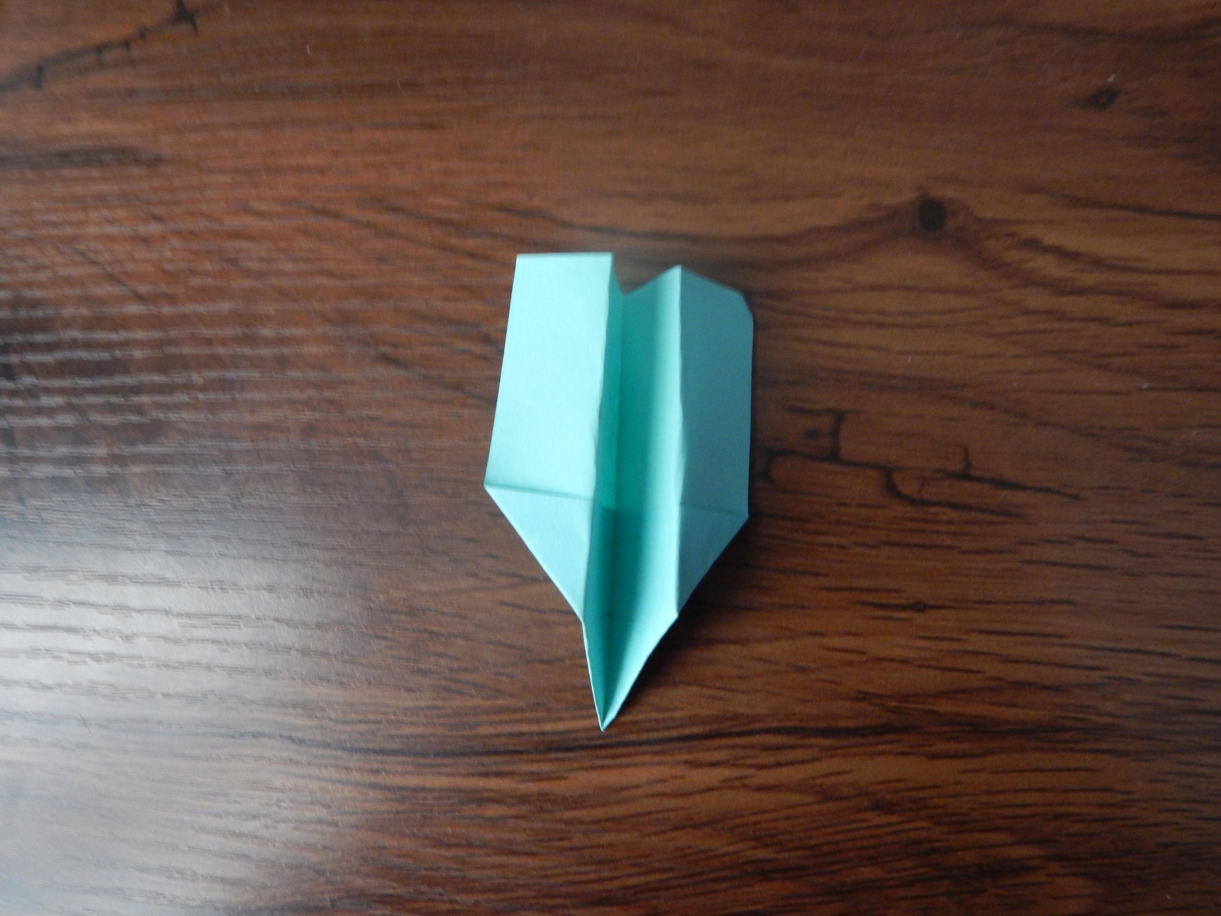 DSCN1240.JPG
