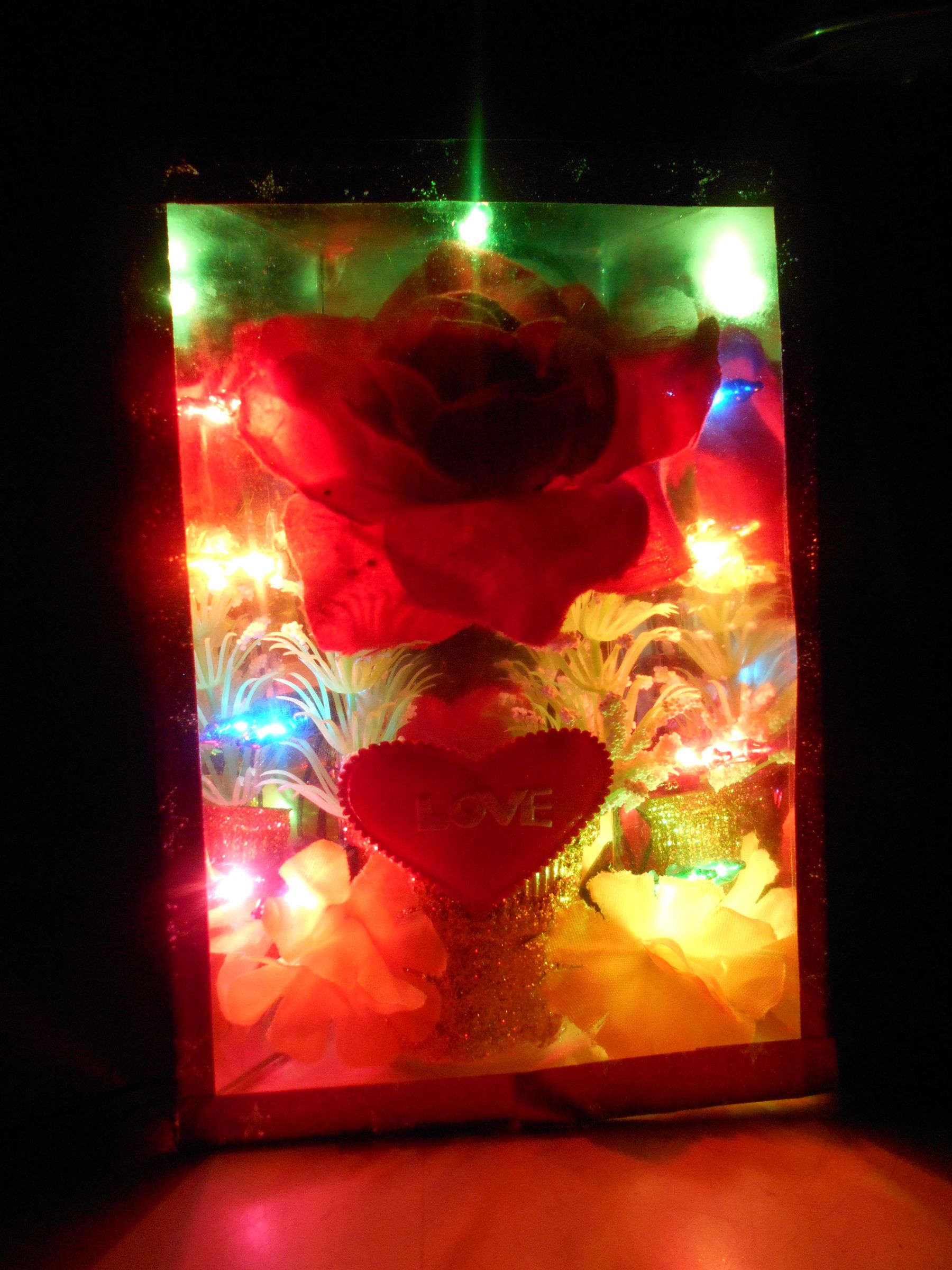 DSCN1771.JPG