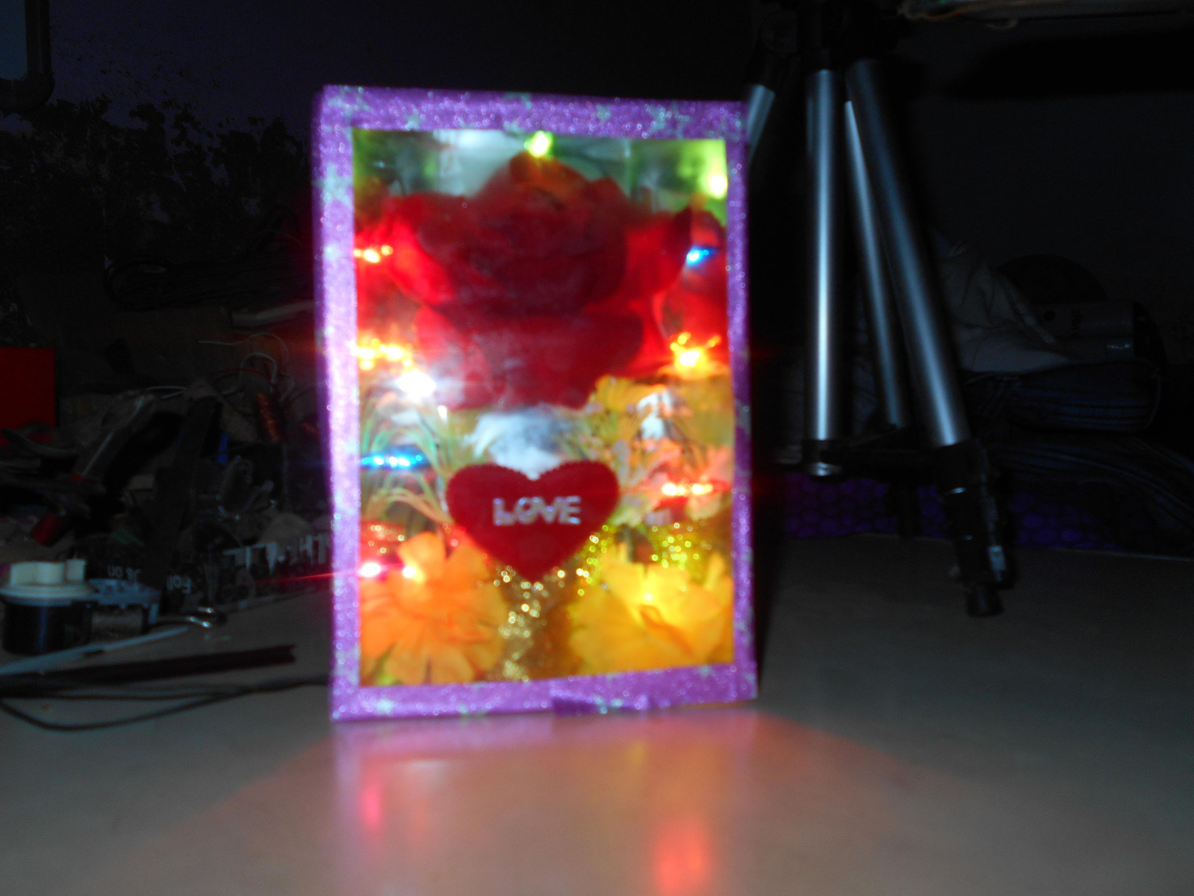 DSCN1775.JPG