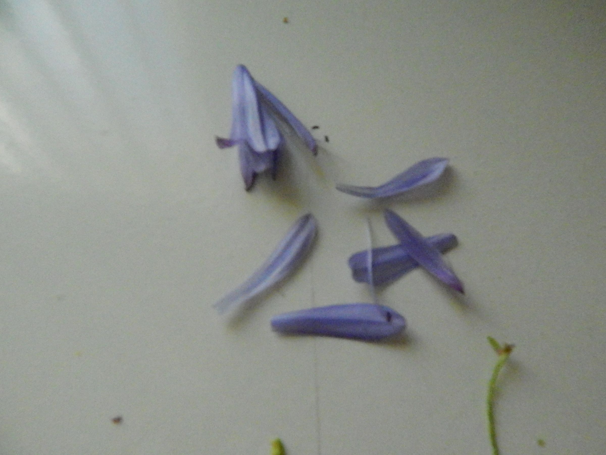DSCN2531.JPG