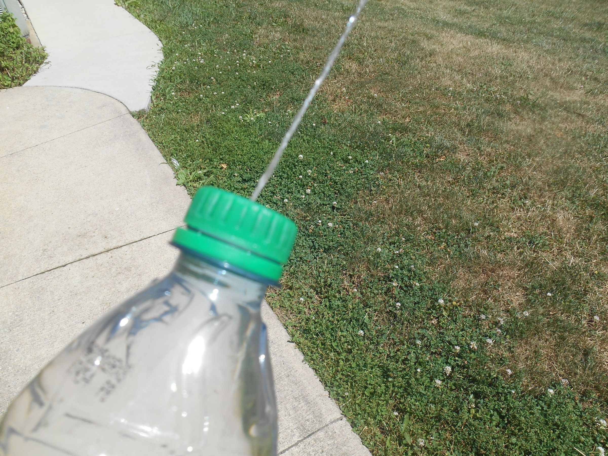 DSCN3323.JPG