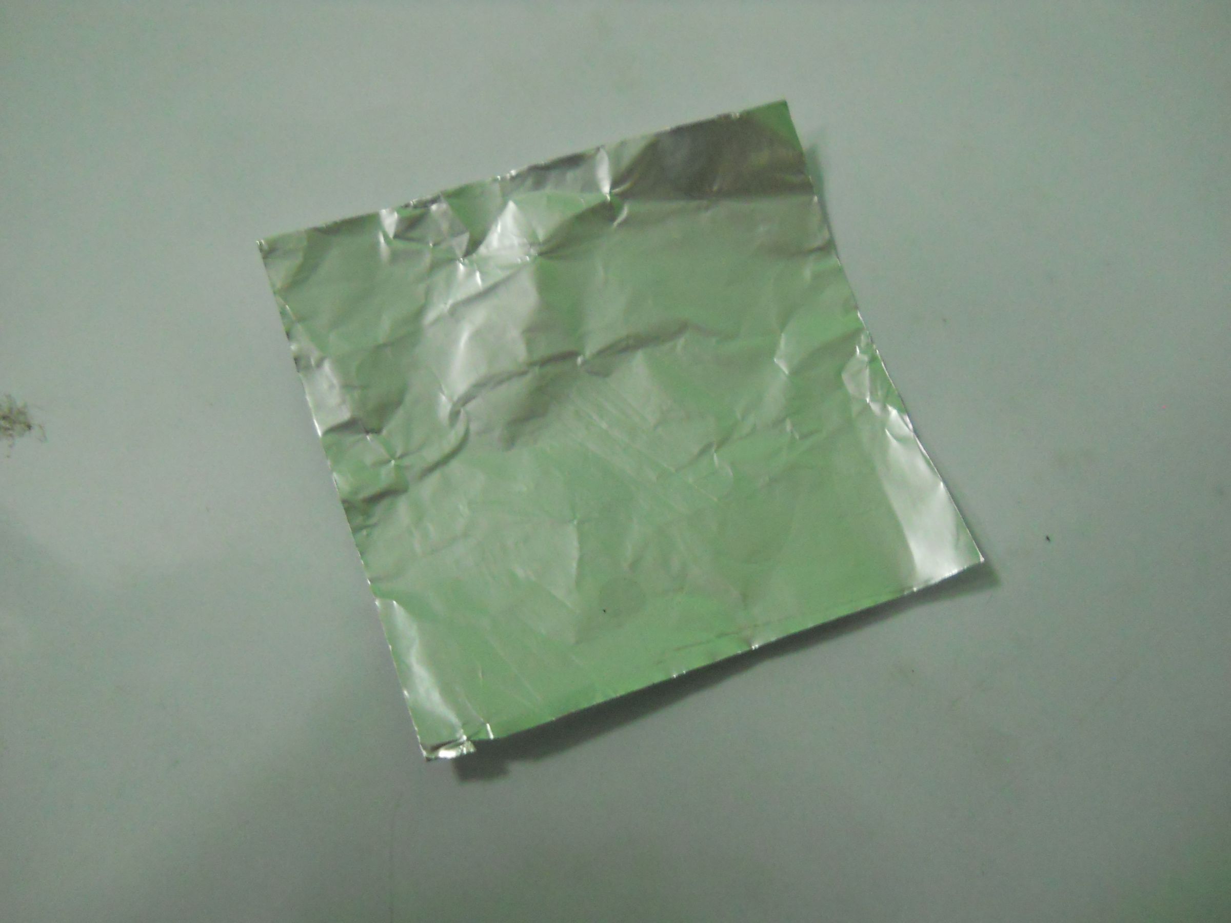 DSCN3448.JPG