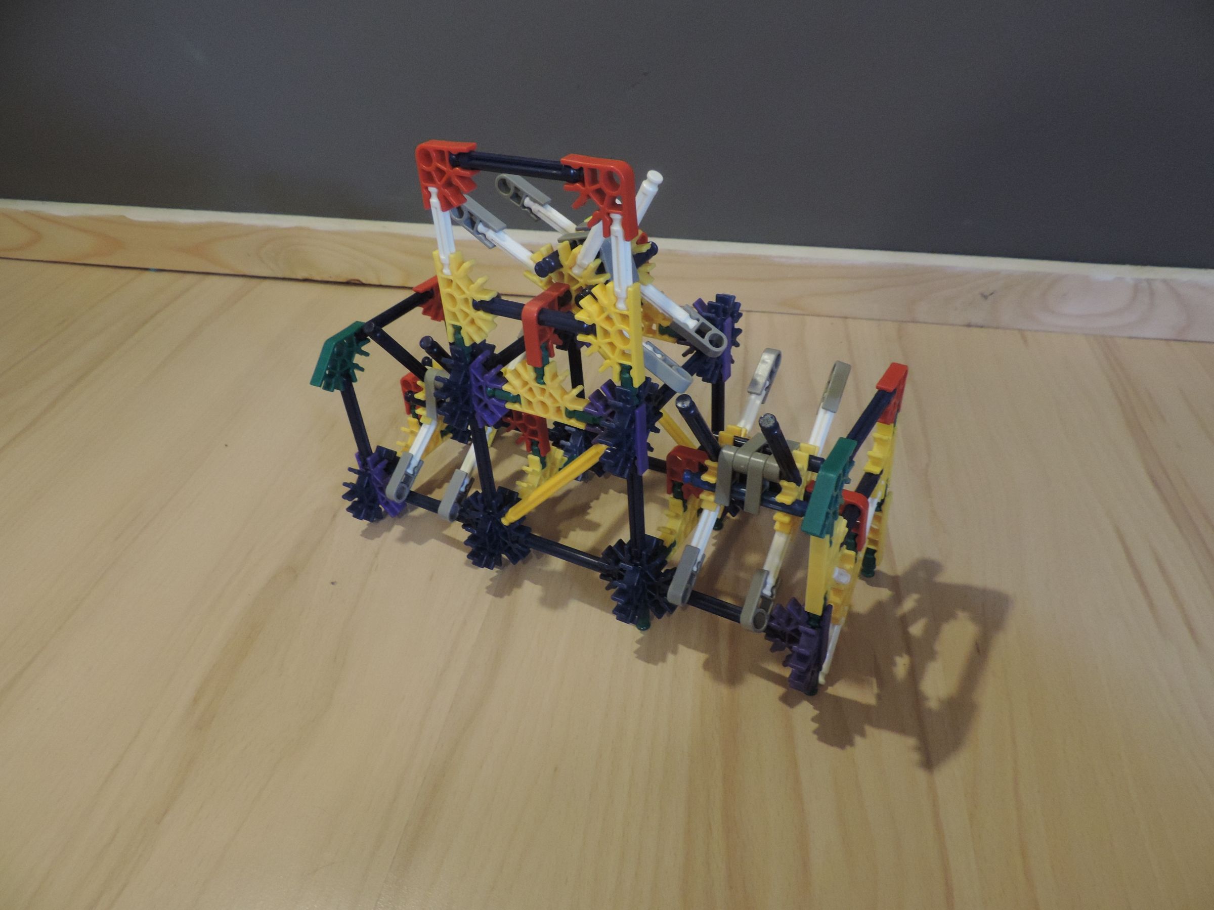 DSCN3481.JPG