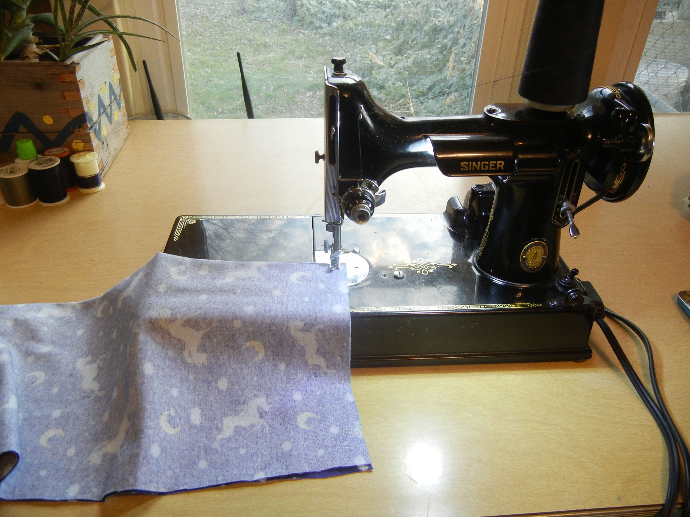 DSCN3584.JPG