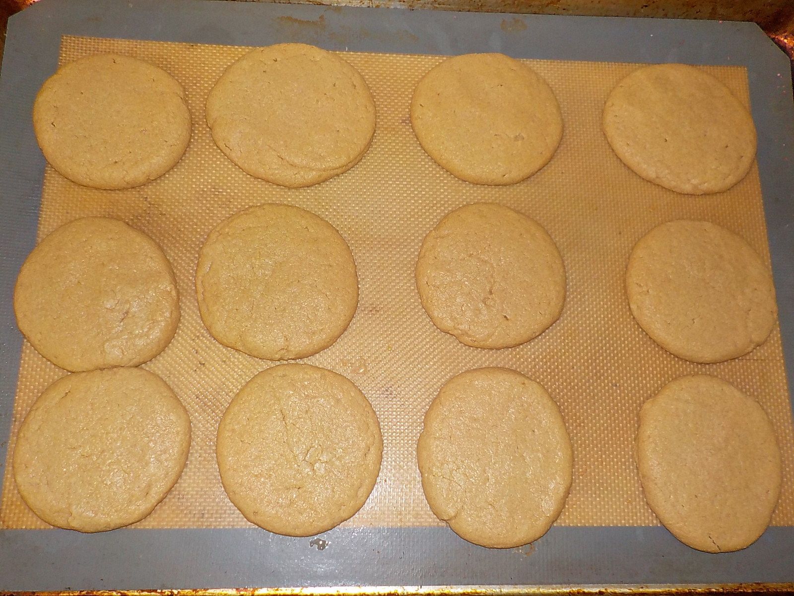 DSCN3736.JPG