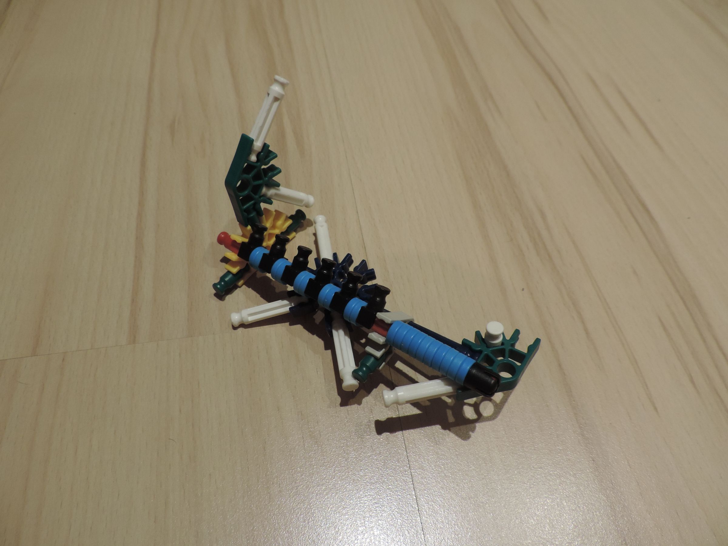 DSCN4352.JPG