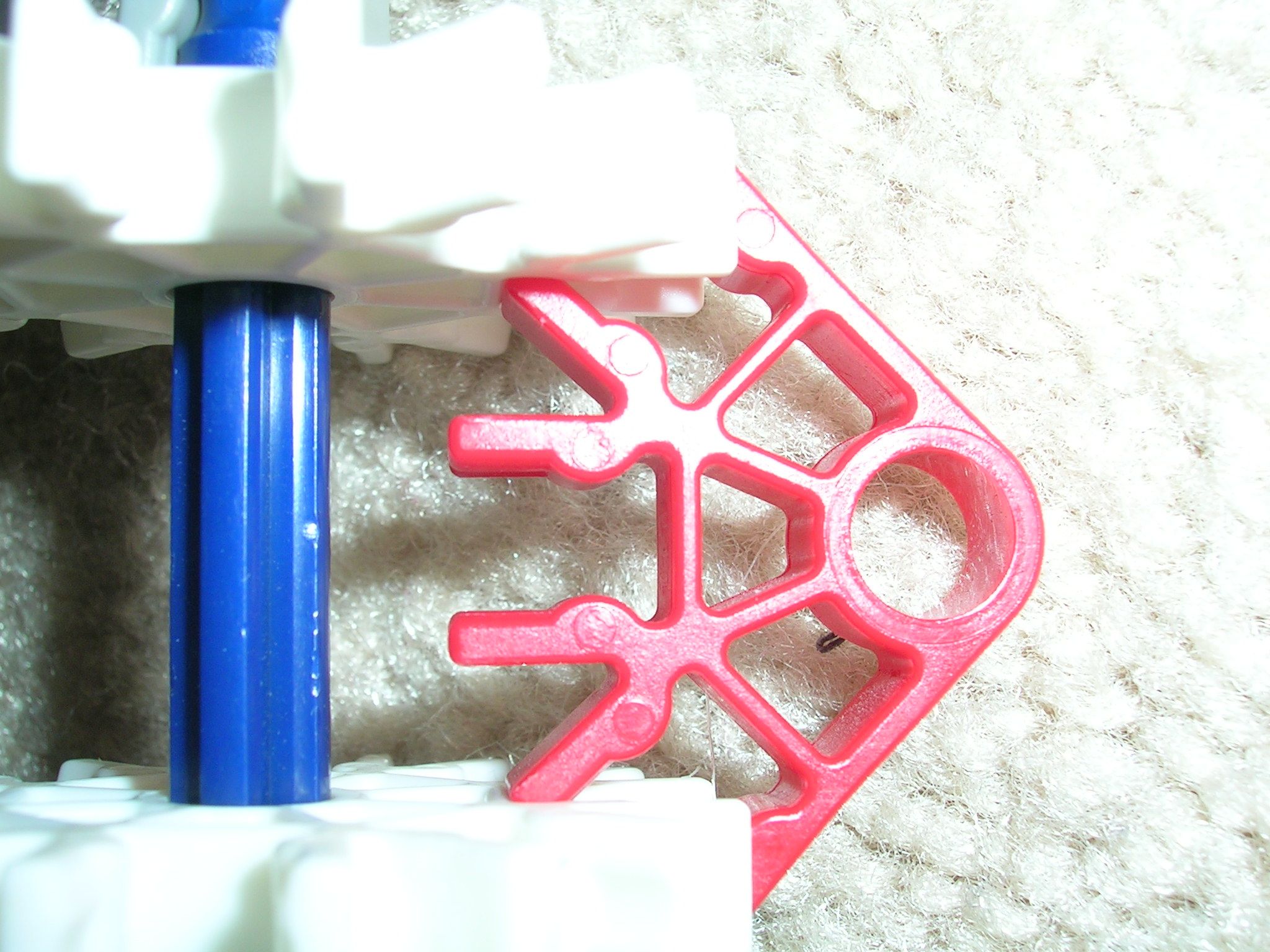 DSCN4389.JPG