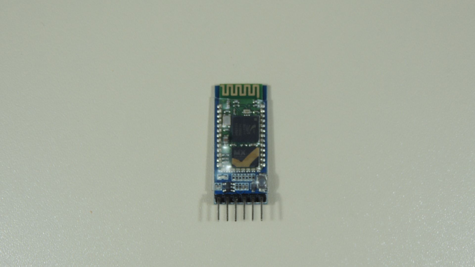 DSCN9567.JPG