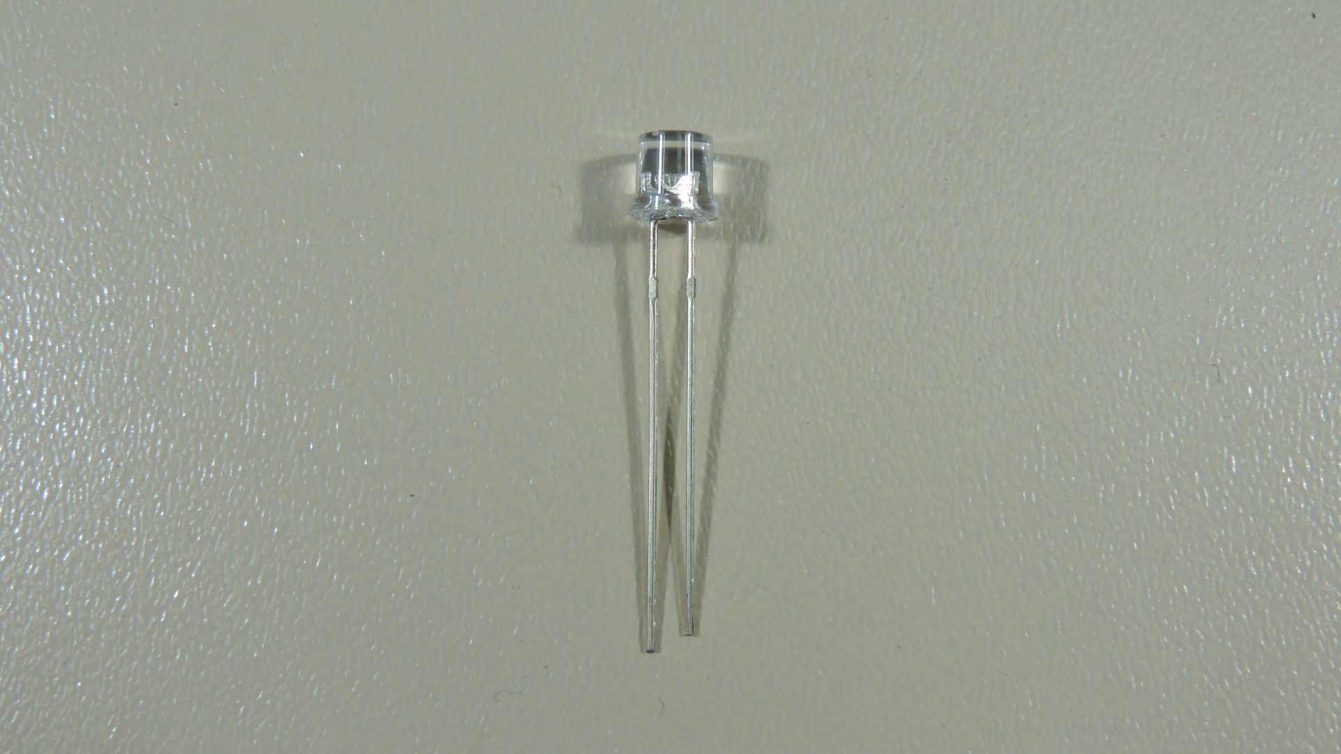 DSCN9733.JPG