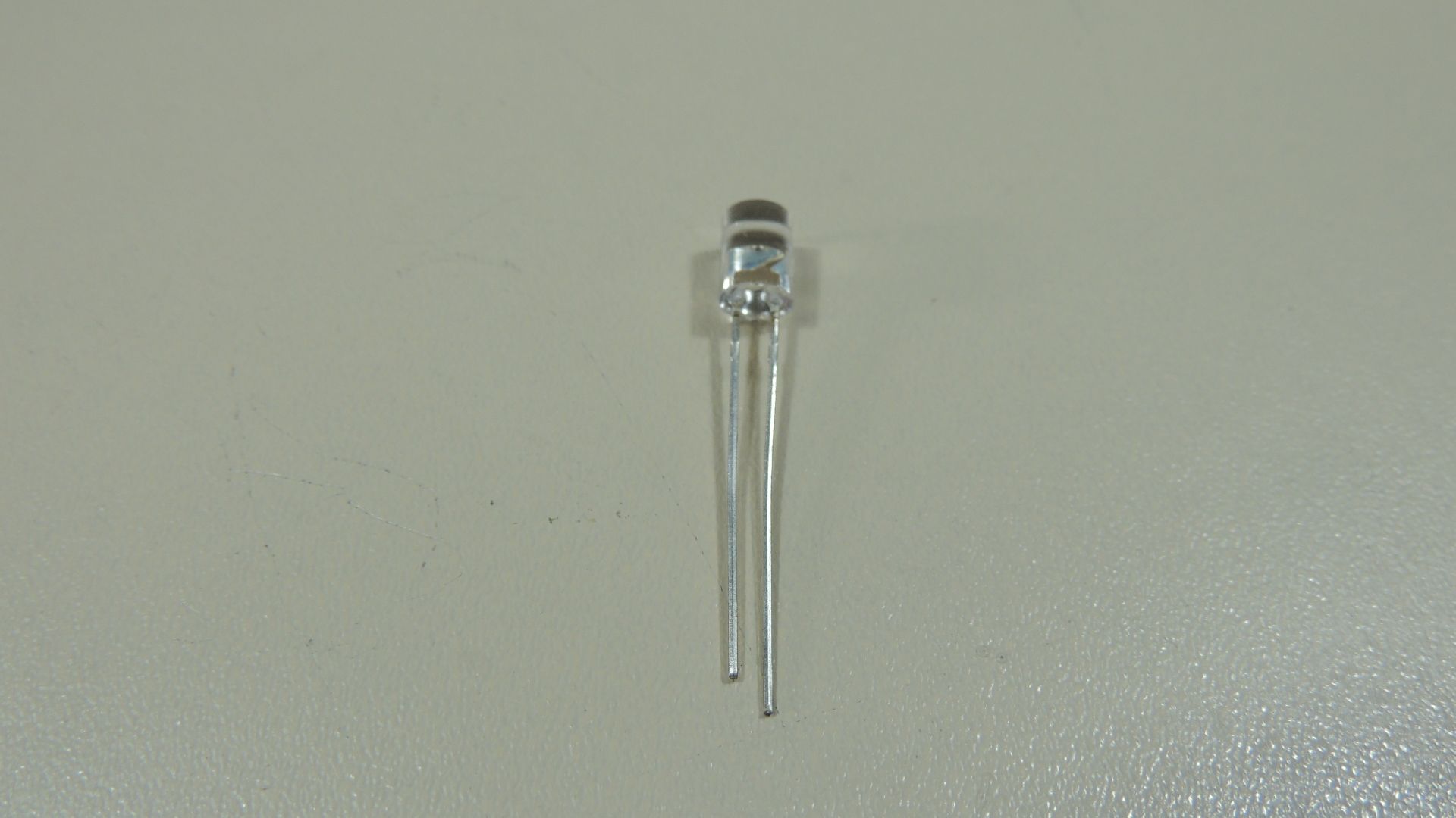 DSCN9813.JPG