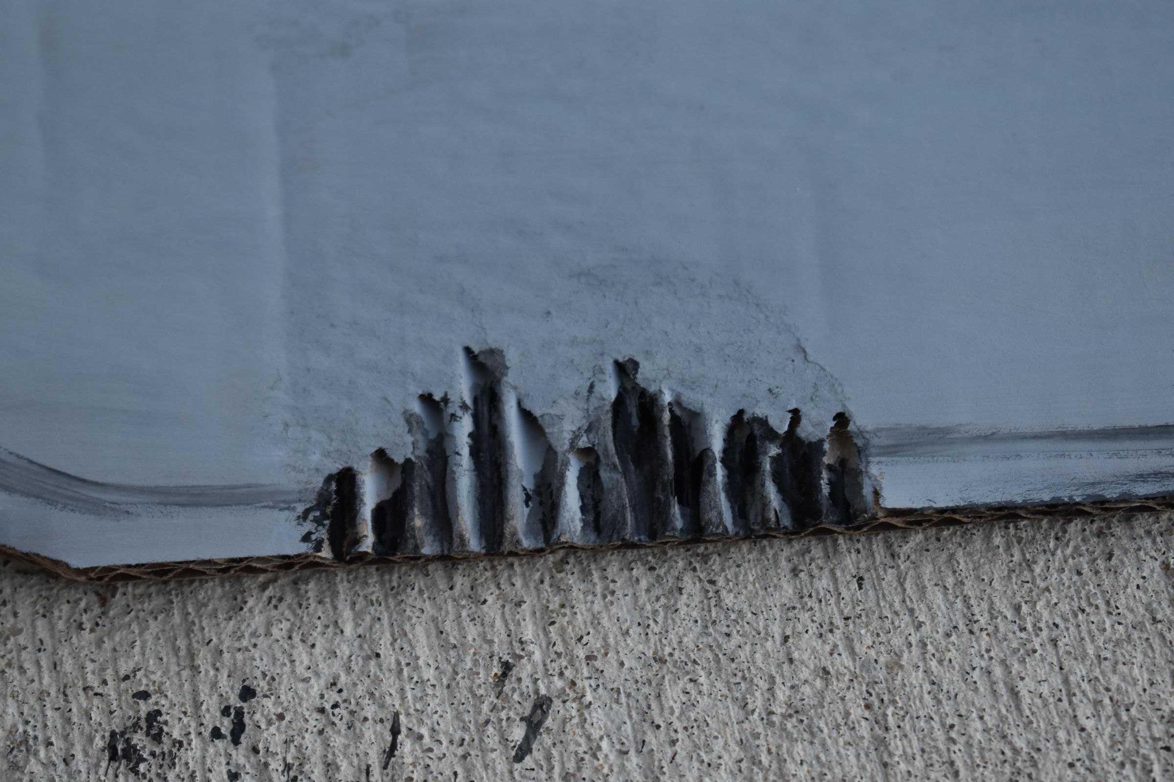 DSC_0125.JPG