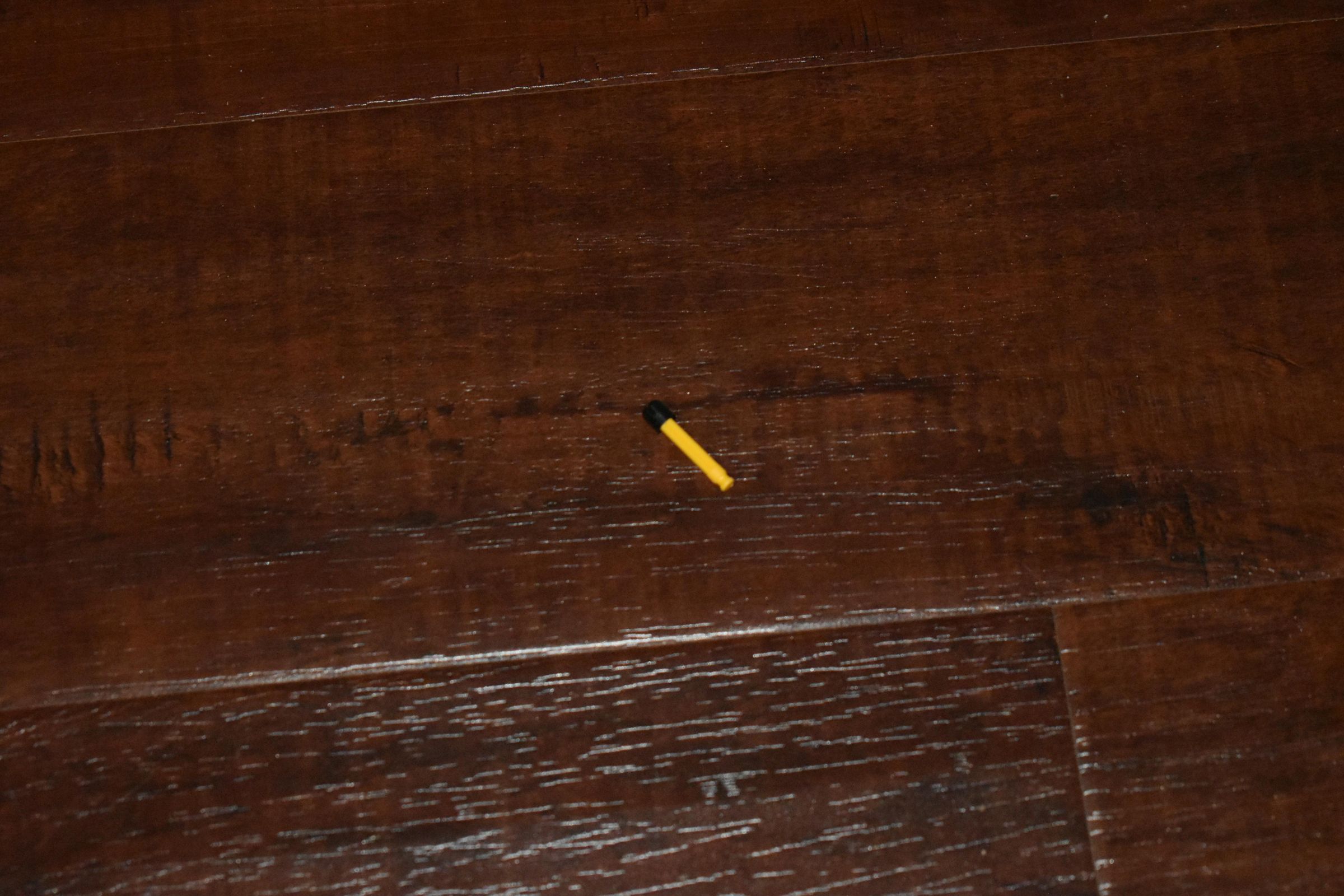 DSC_0421.JPG