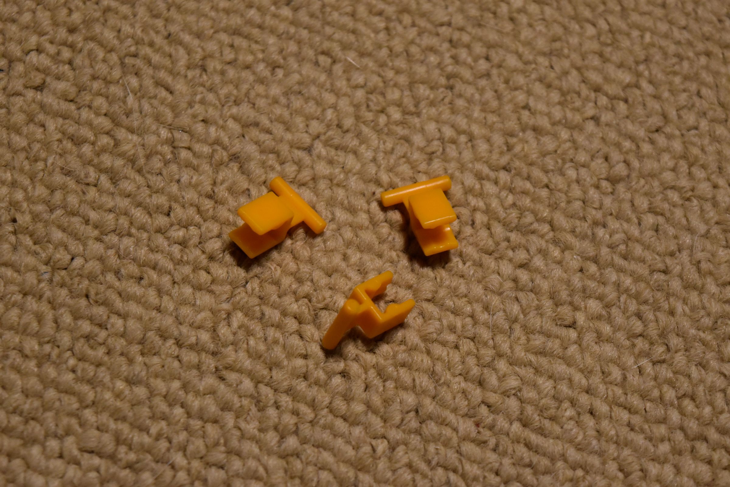 DSC_0487.JPG