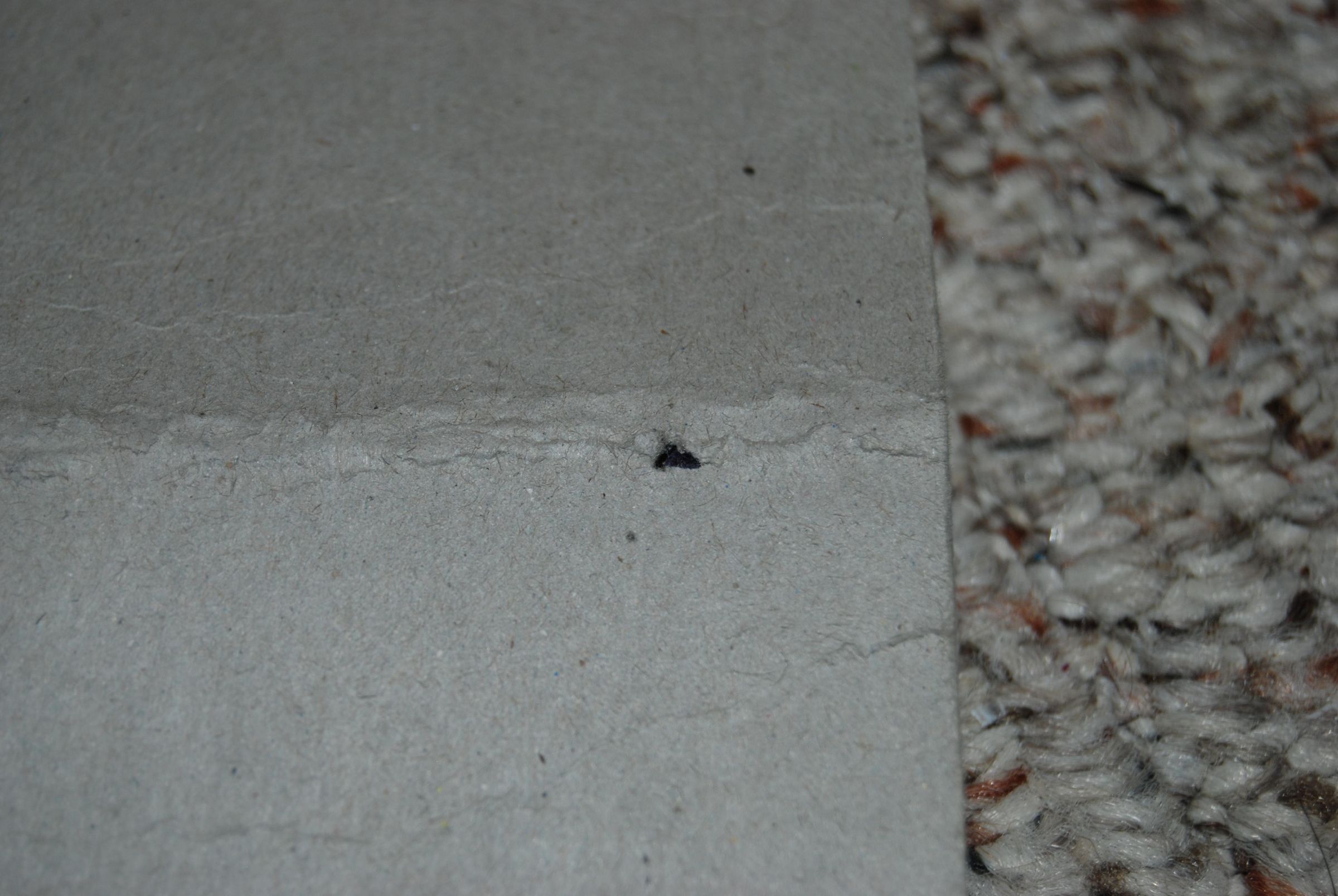 DSC_5194.JPG