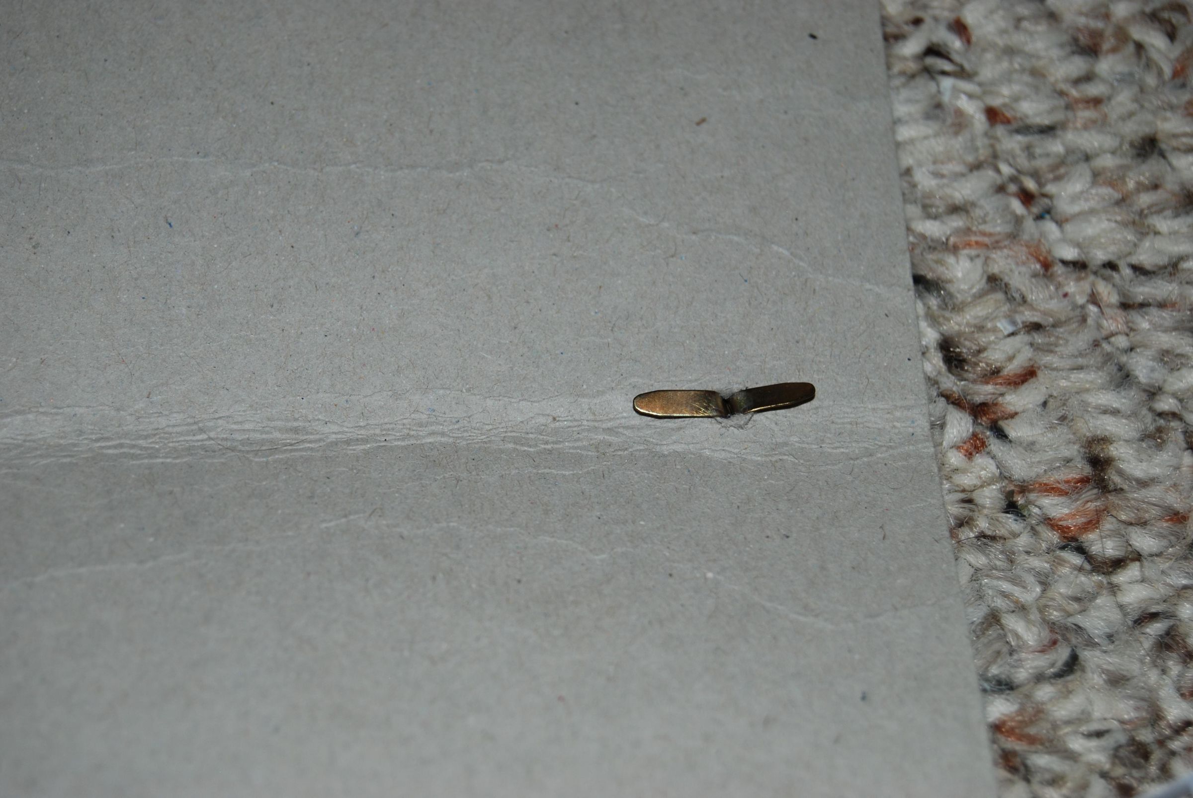 DSC_5195.JPG