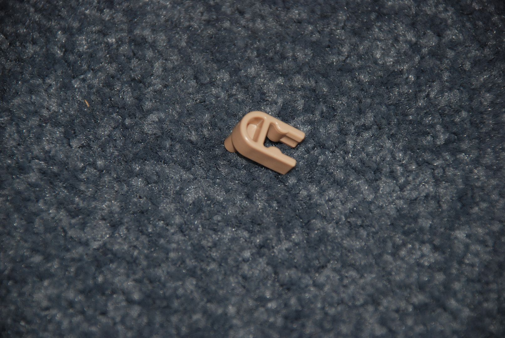 DSC_6237.jpg