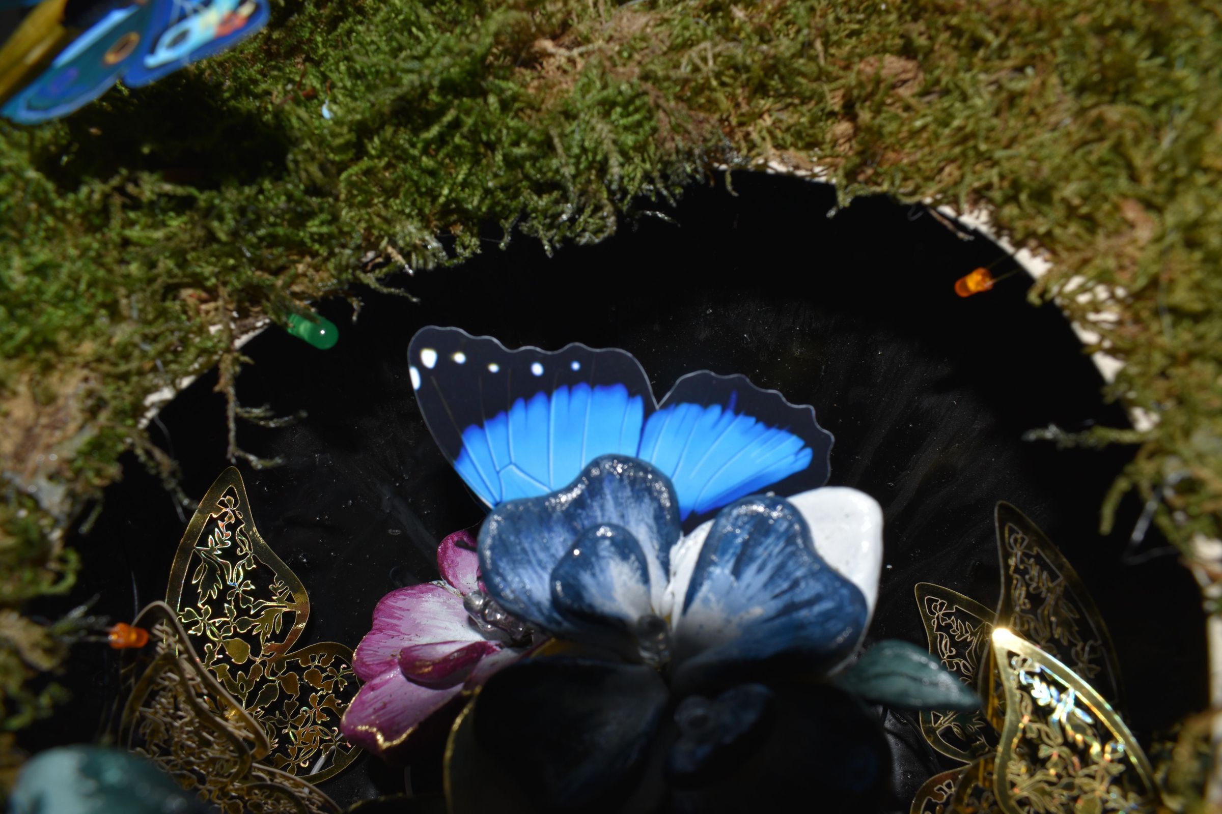 DSC_6764.JPG