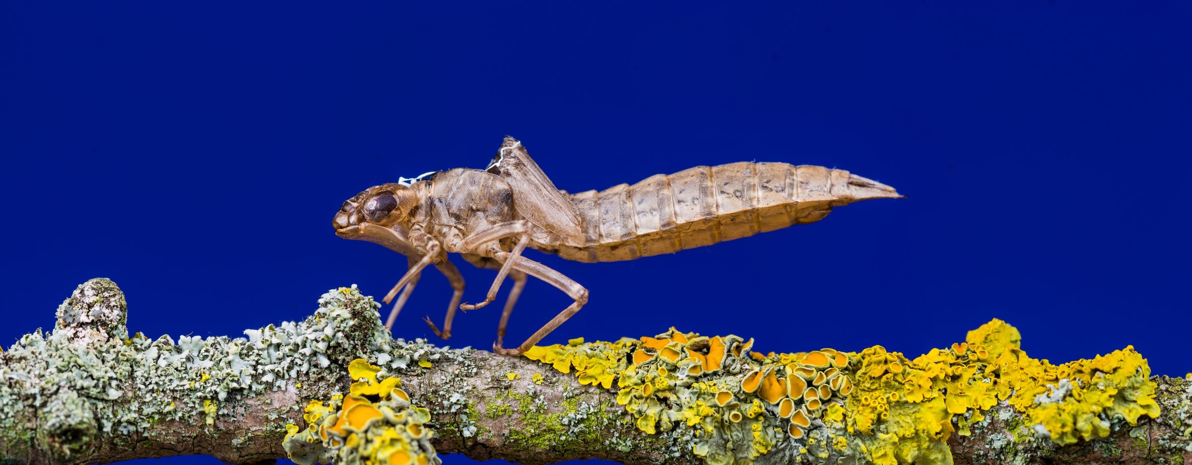 DSC_8200_8207_panorama_rs.jpg