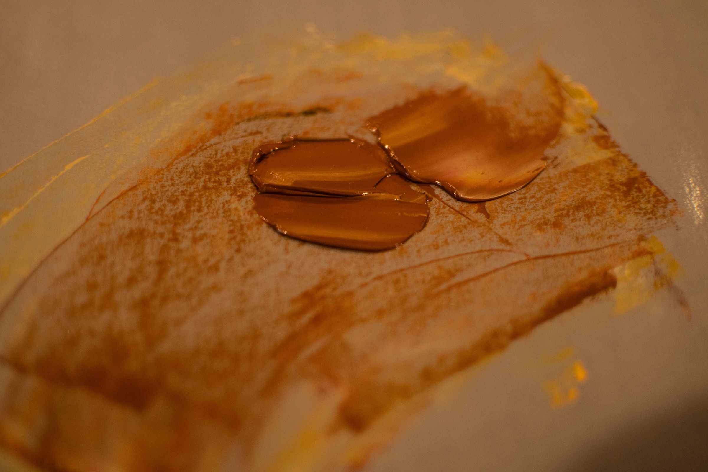DSC_8644.jpg