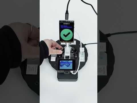 Demo Video Cell Identification
