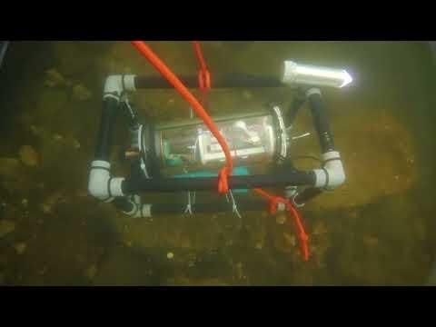 Deployment of Sensea in a lake