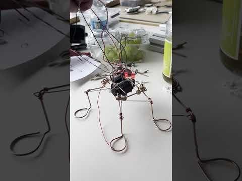 Desk Critter