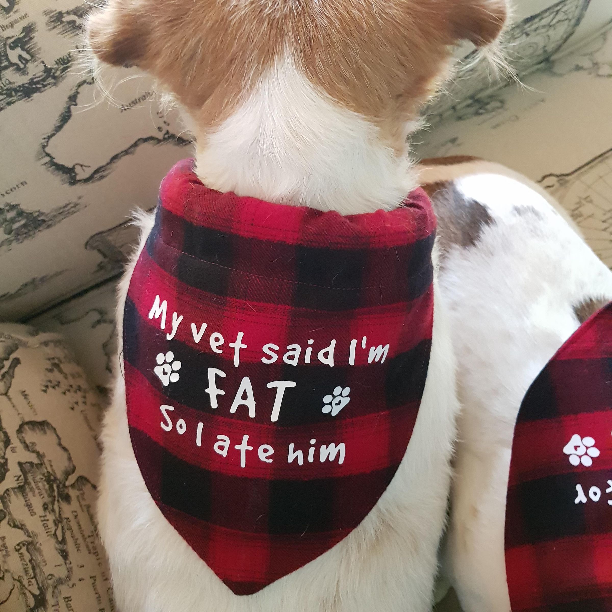 Dog Bandana (20).jpg
