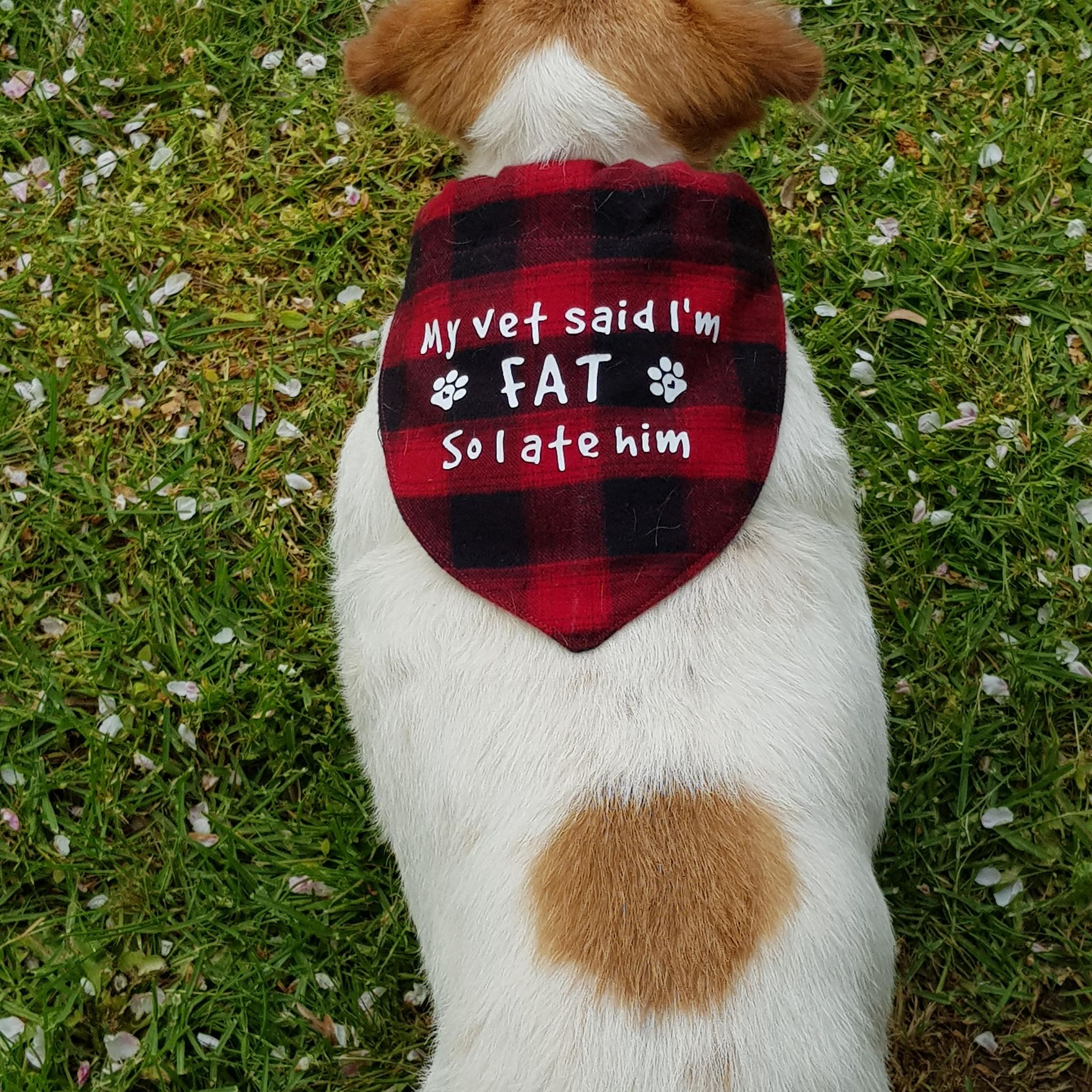 Dog Bandana (44).jpg