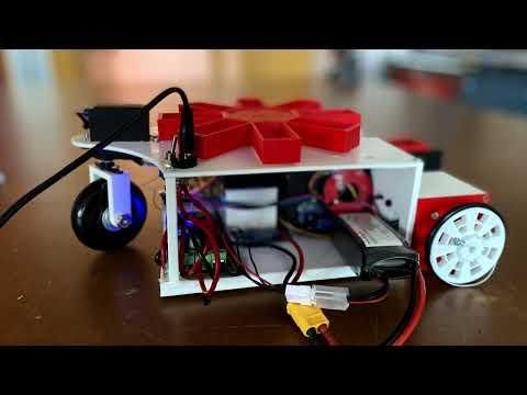 Domino robot