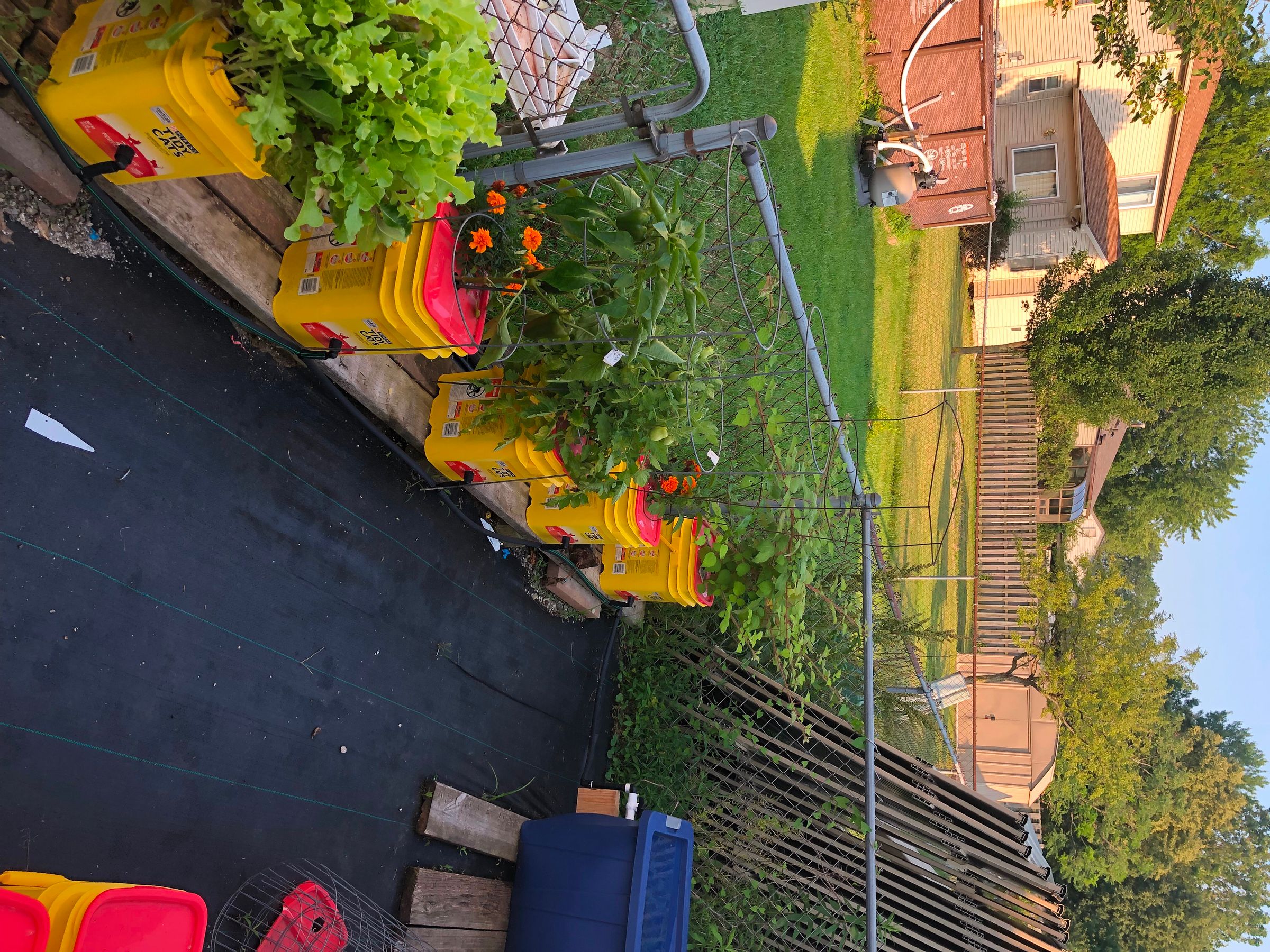 EE4A3170-6ACE-4BD8-8E88-DCE2A58F0636.jpeg