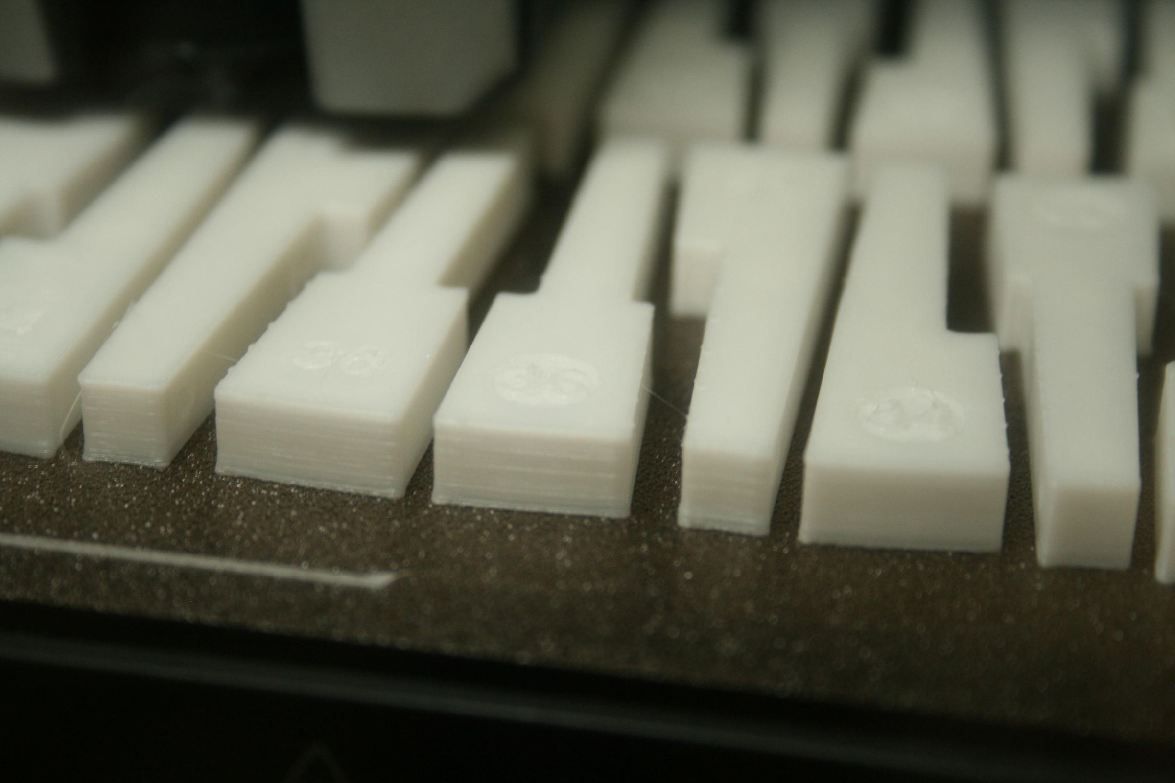Ebony and Ivory  35.JPG