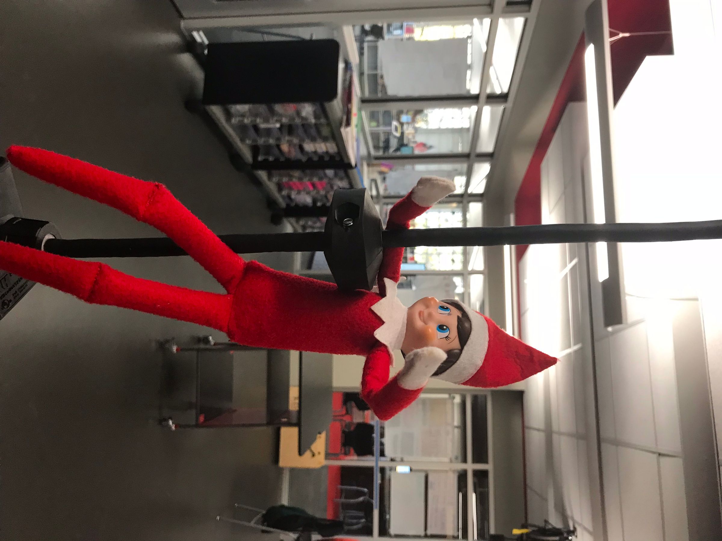 Elf Shelf11.jpg