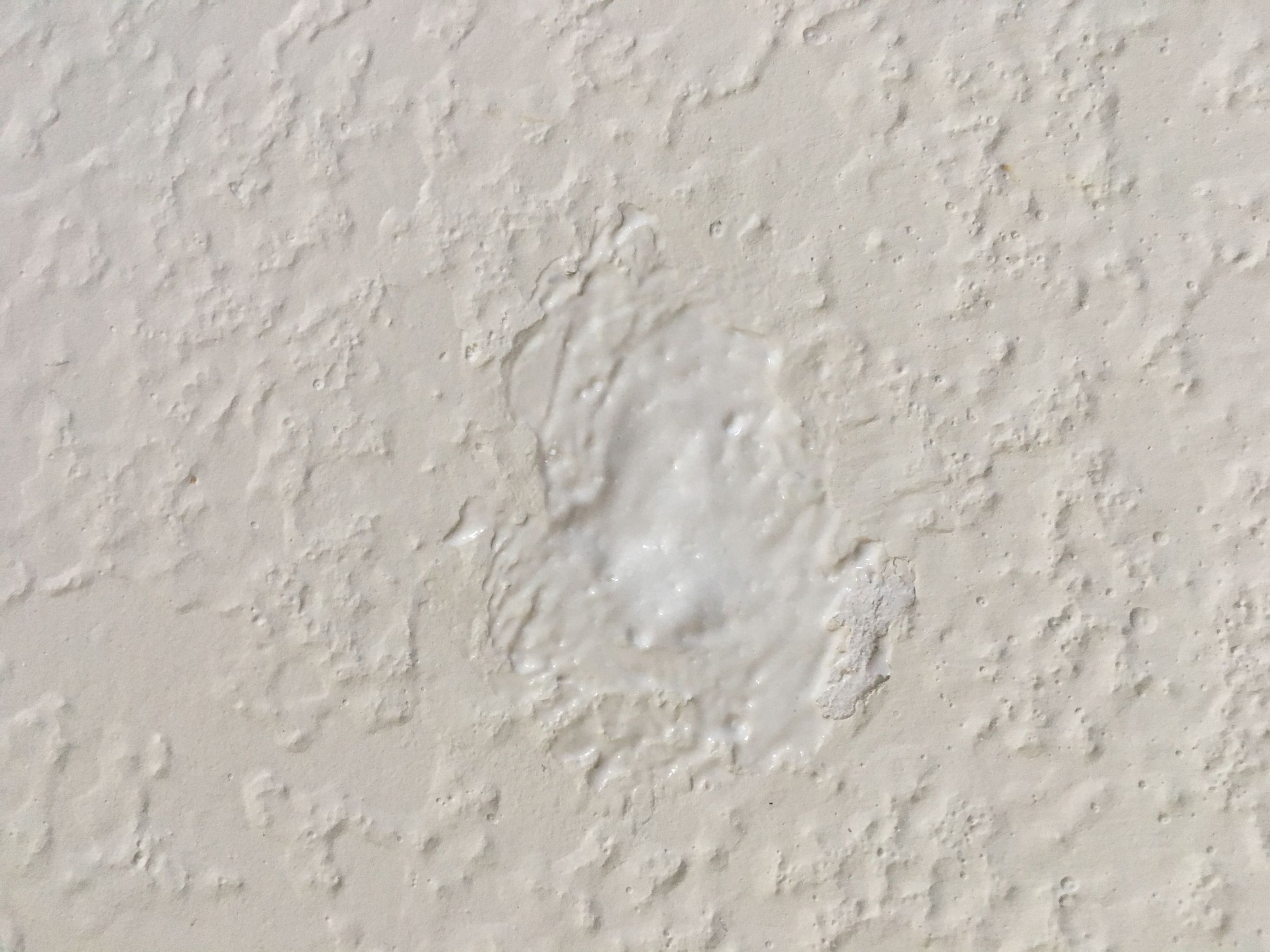 F681AE19-1928-427F-878E-59F6367D279B.jpeg