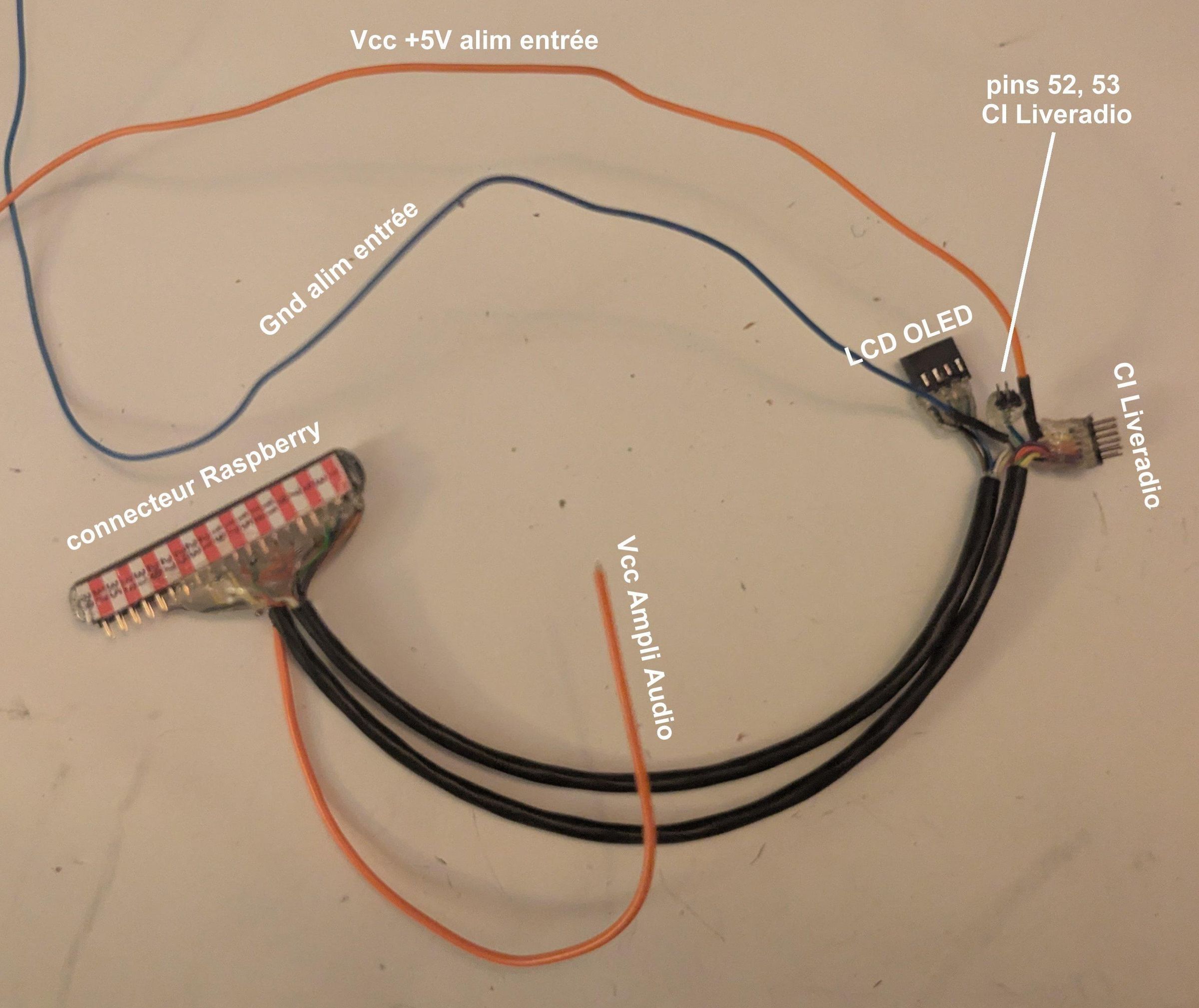 FCOQ67XMHMCOUNR.jpg