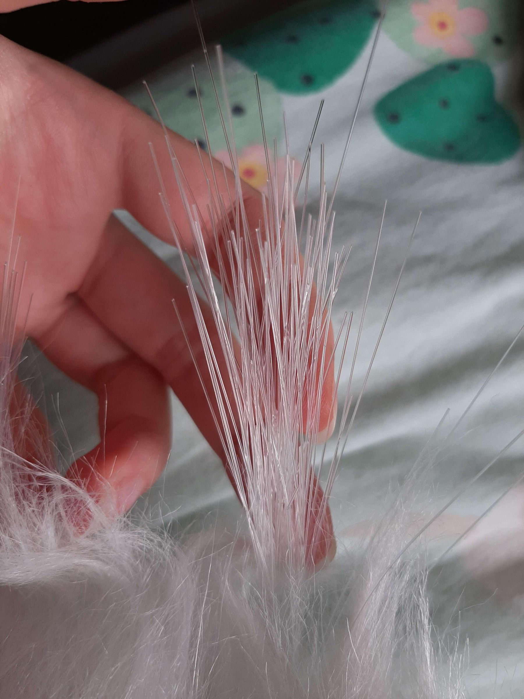 Fiber1@DoodleBirb.jpg