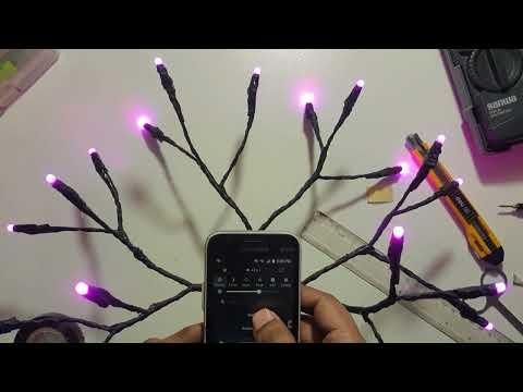 Final Assembly