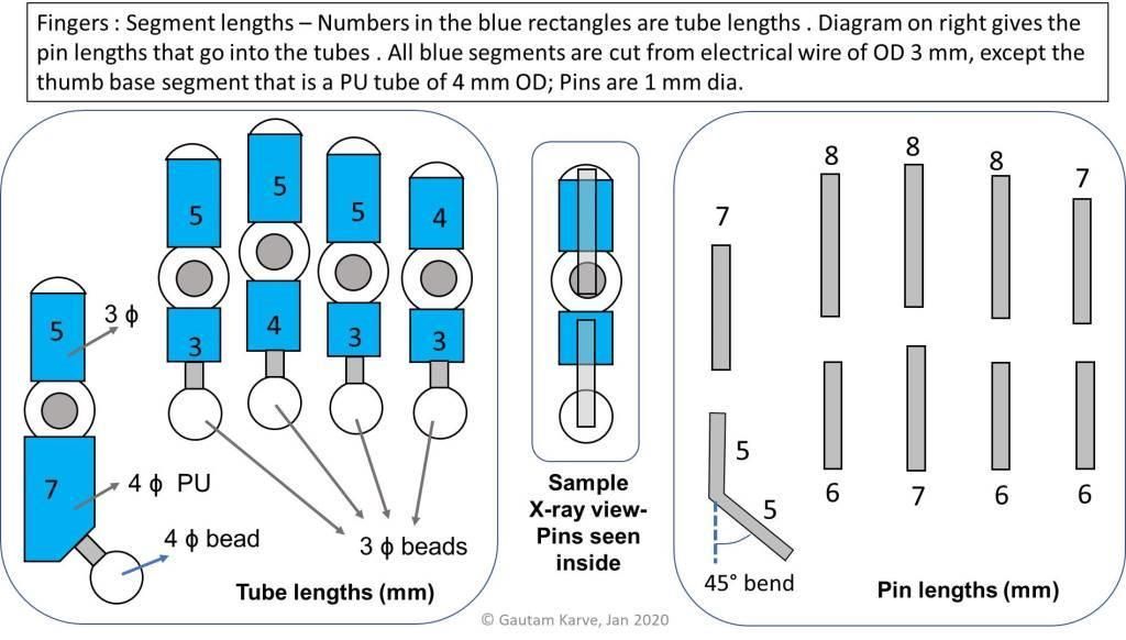 Finger Segments.jpg