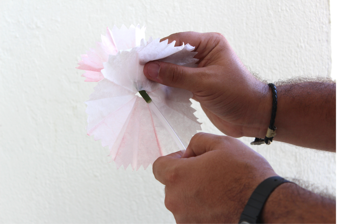 Flores-08.png