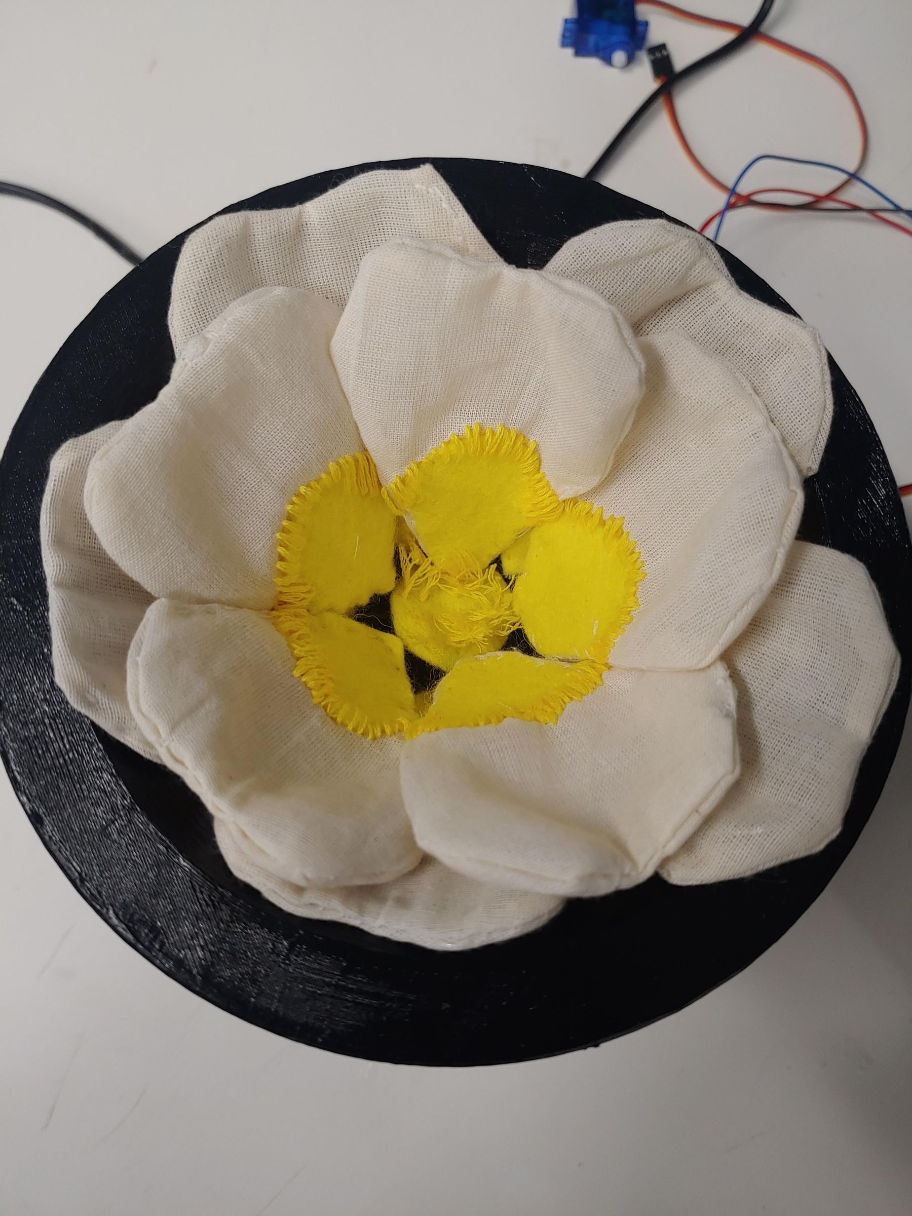Flower.jpg