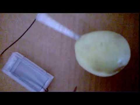 Food Clock - White Potato