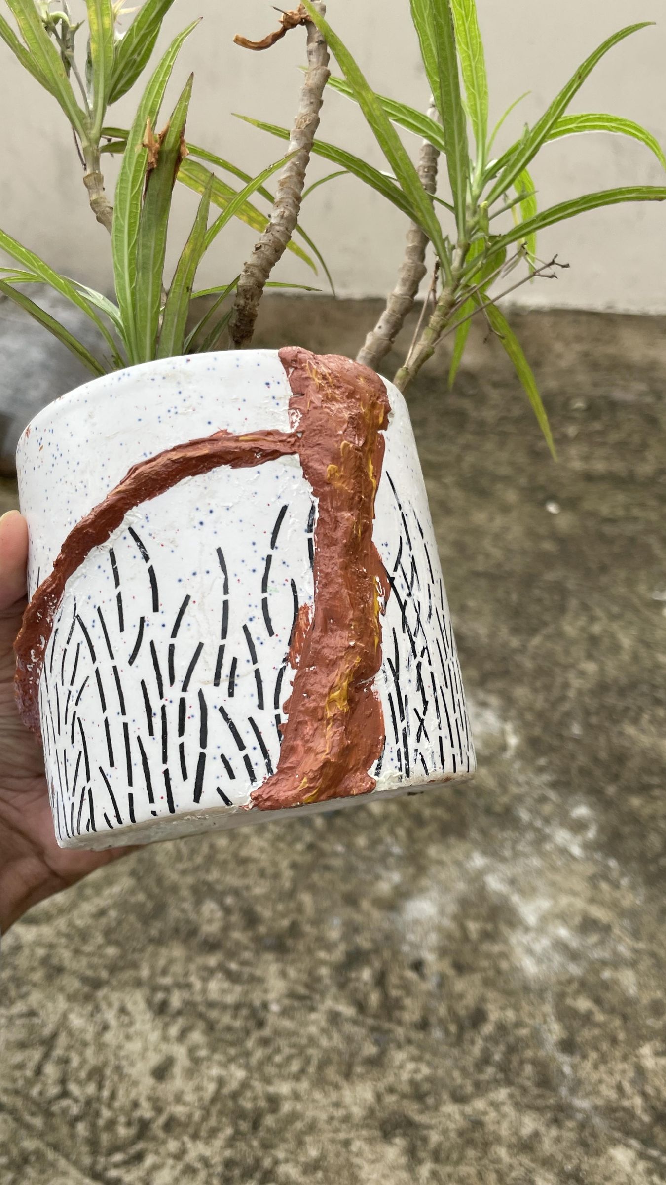 FullSizeRender 19.JPG