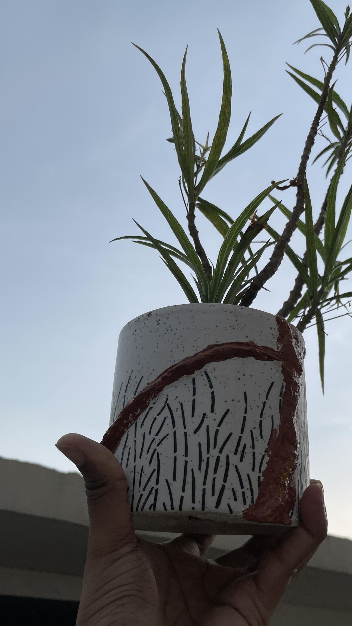 FullSizeRender 2.JPG