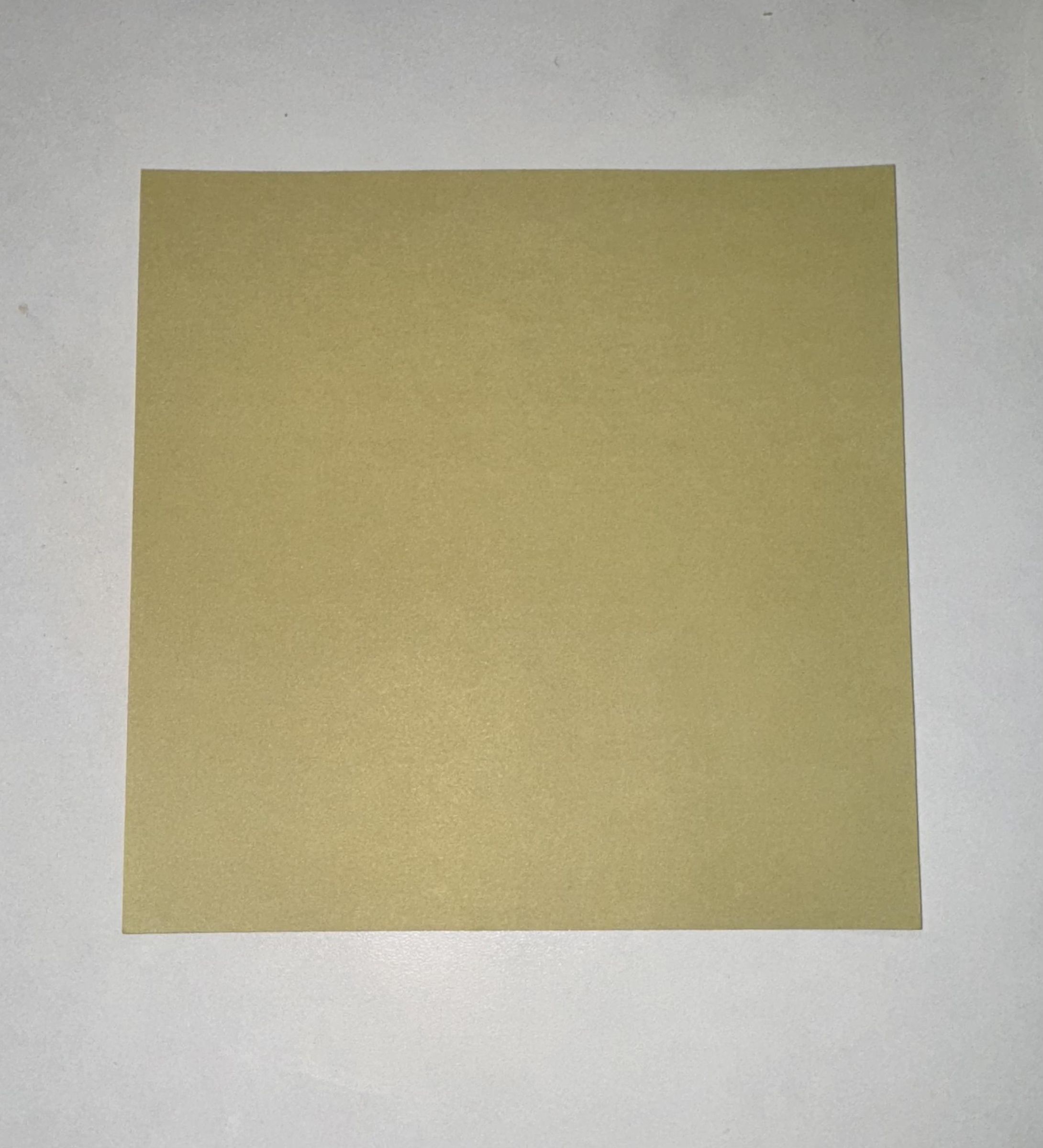 FullSizeRender 3.jpeg