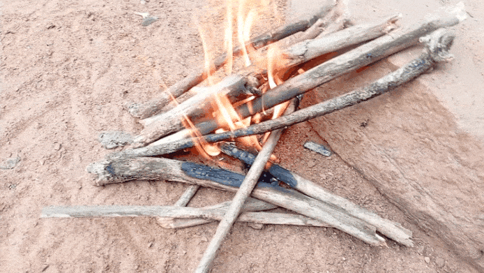 GIF_20250303_063317_725.gif
