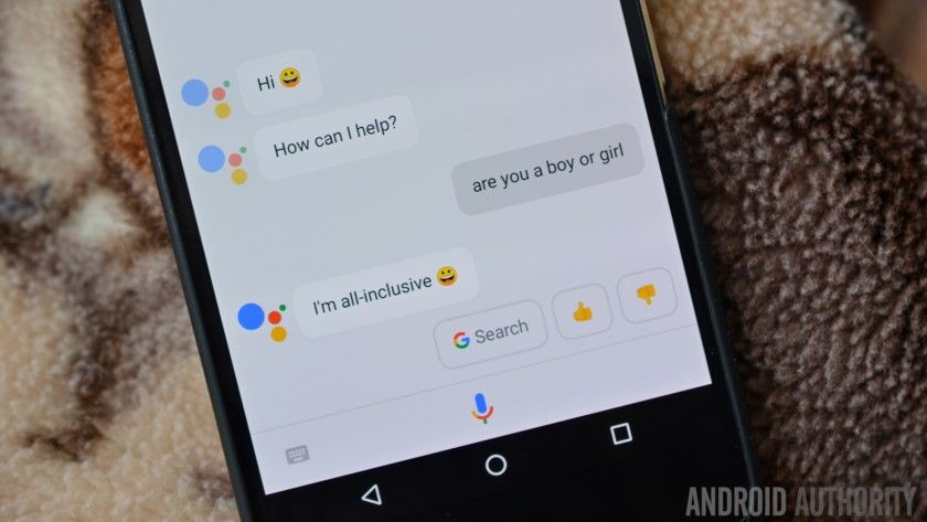 Google assitant.jpg