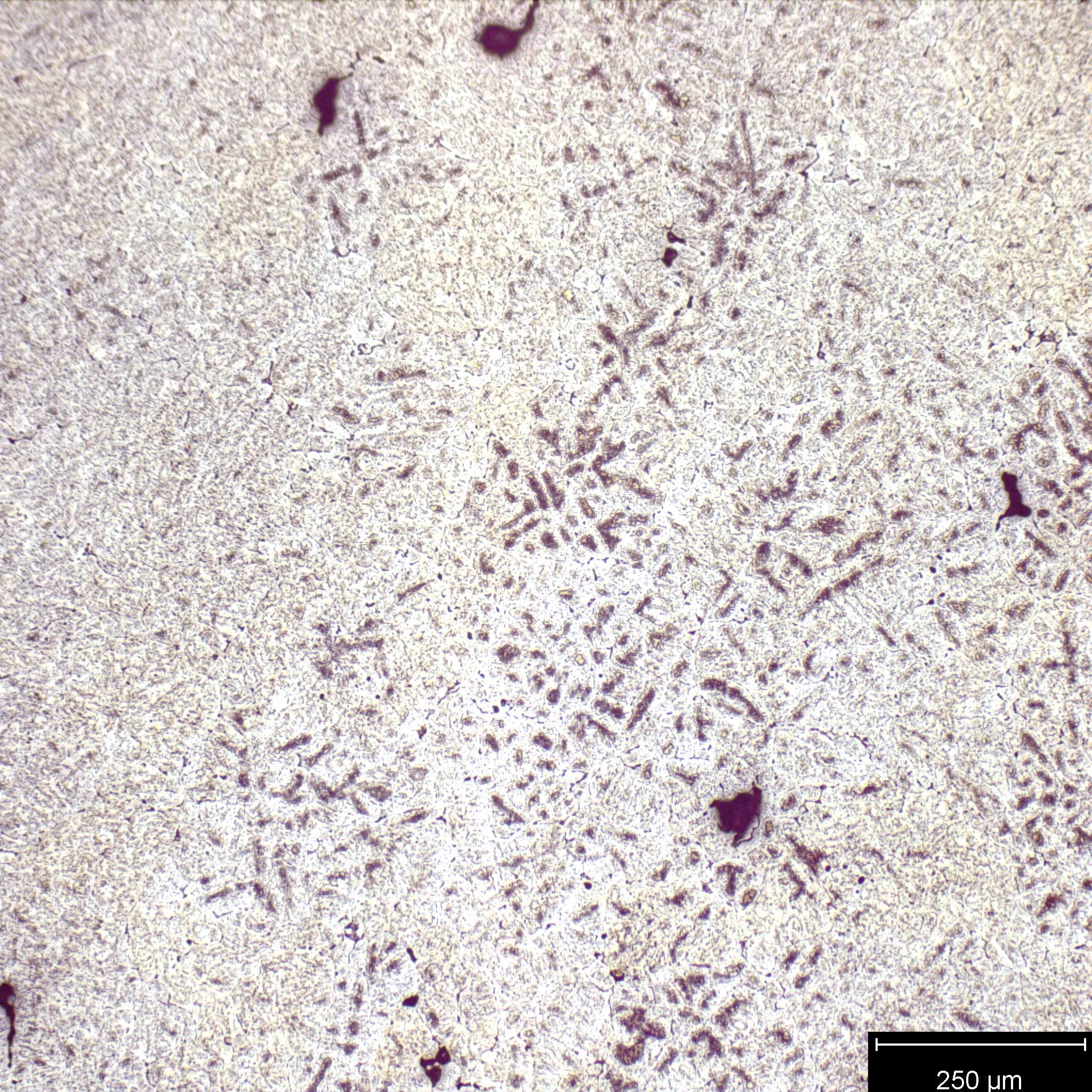 HME_100x_1.jpg