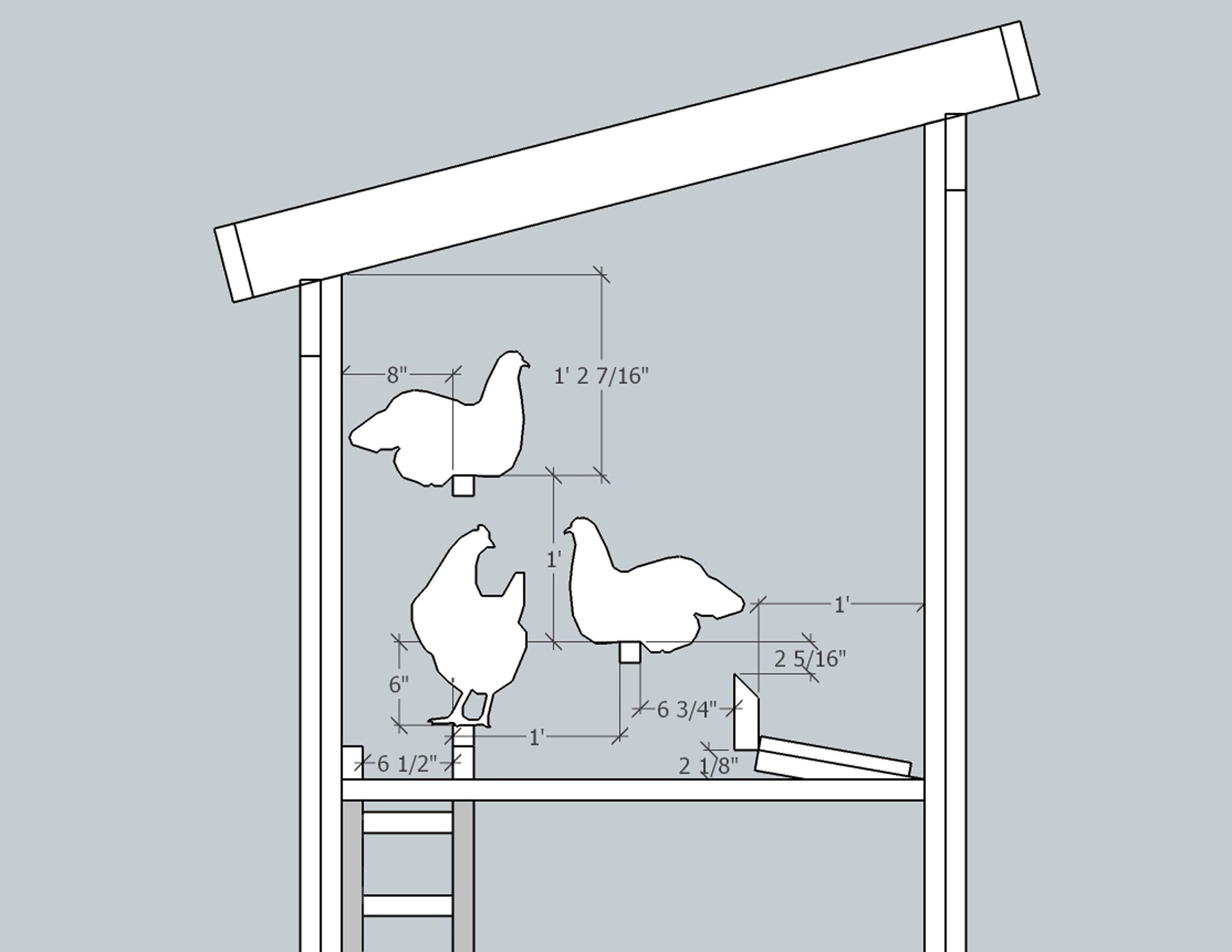 Hen Saloon Roost Layout.jpg