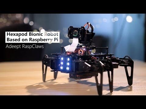 Hexapod bionic robot based on Raspberry Pi